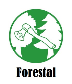 Ropa forestal profesional.