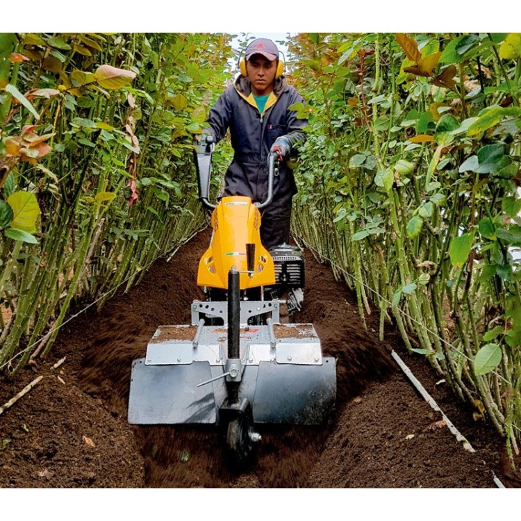 Pasquali Ridge 2 - Encamador / aporcador