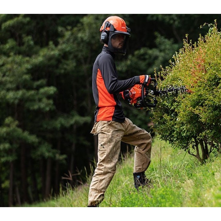 Ejemplo trabajo Echo HC 2020