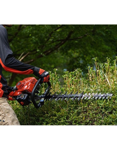 Ejemplo de trabajo cortasetos Echo