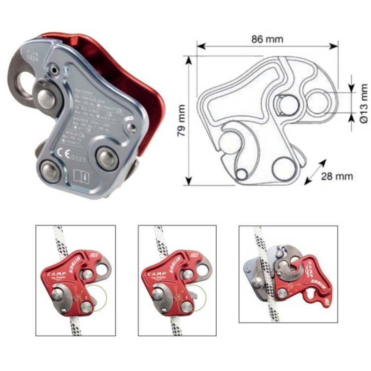 Camp Goblin - Arborismo profesional