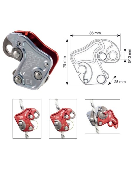 Camp Goblin - Arborismo profesional