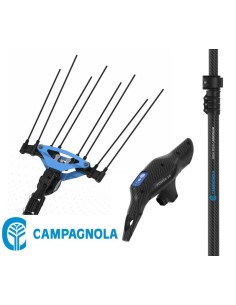 Vareador Campagnola Icarus Motor power 58