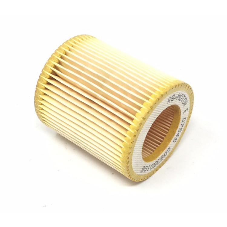 Filtro de aire Motores AsMotor 2T