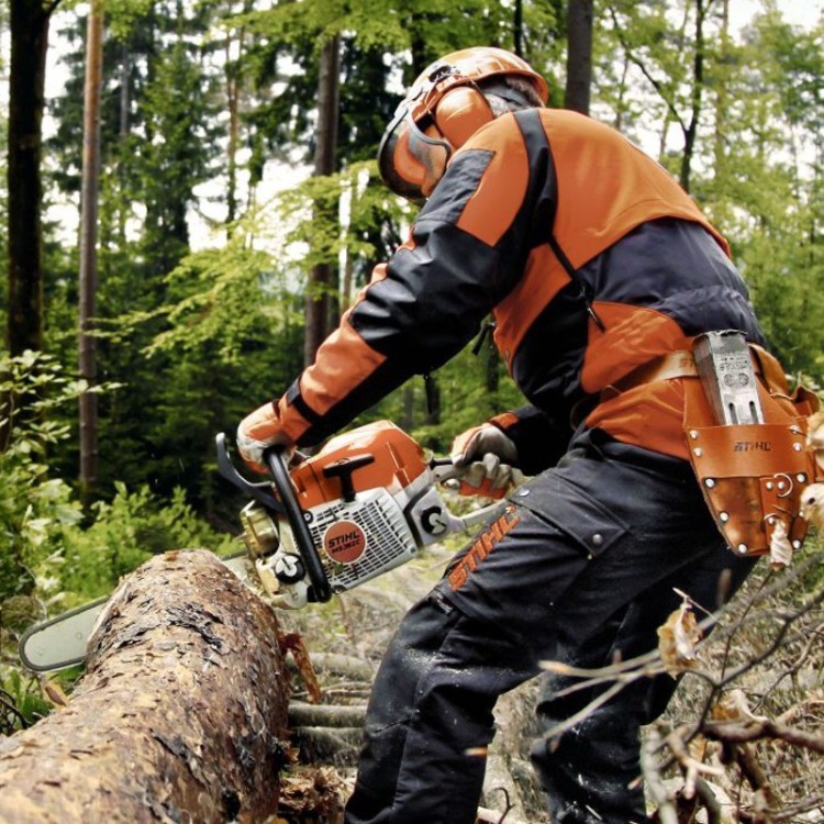 Stihl MS 362 → Motosierra Forestal