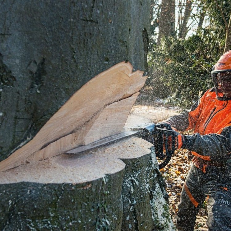 Stihl MS 661 C-M → Motosierra Forestal