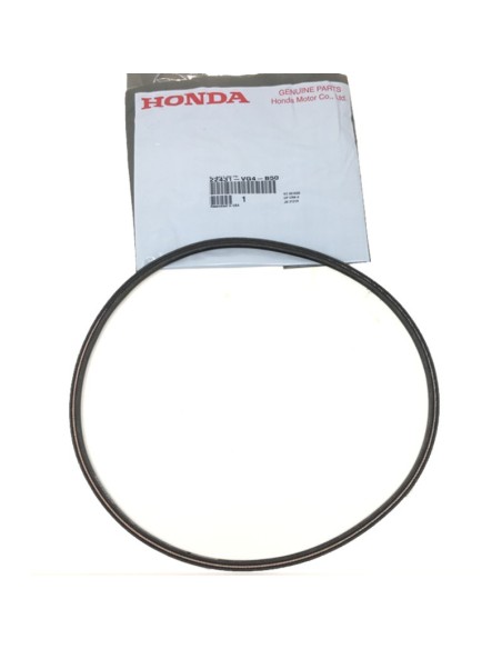 Correa tracción cortacésped (ORIGINAL).