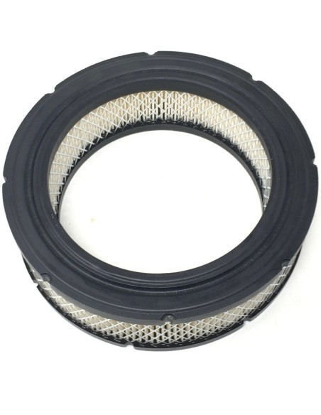 Filtro de Aire para Motores Bicilíndricos Briggs & Stratton