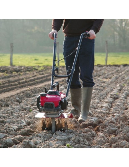 Motoazada Honda FG 201 huerto pequeño