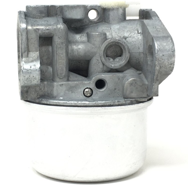 Carburador Brigg&Stratton 790120