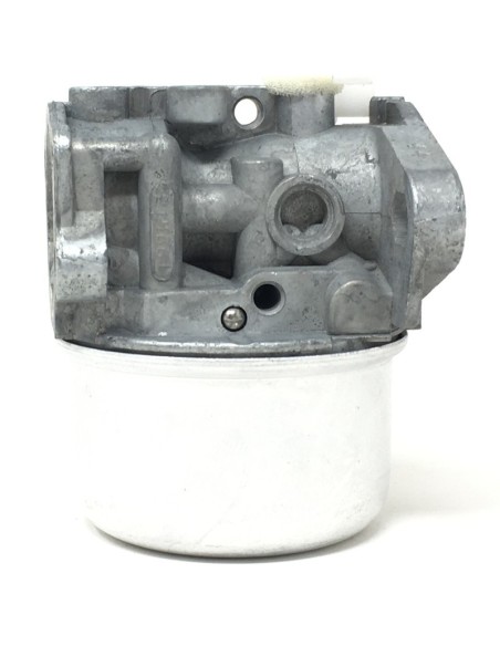Carburador Brigg&Stratton 790120
