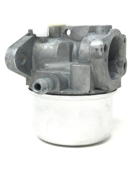 Carburador Brigg&Stratton 790120