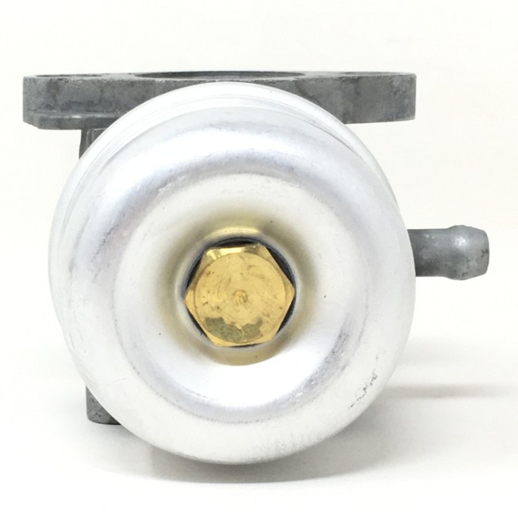 Carburador Brigg&Stratton 790120