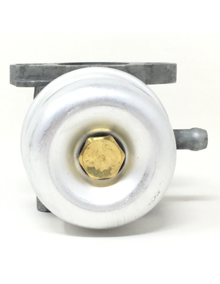 Carburador Brigg&Stratton 790120