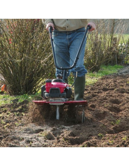 Motoazada Honda  FG 205