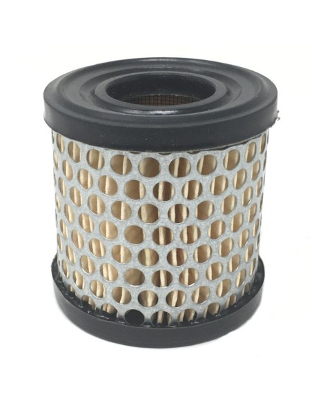 Filtro de aire adaptable a motores Briggs & Stratton