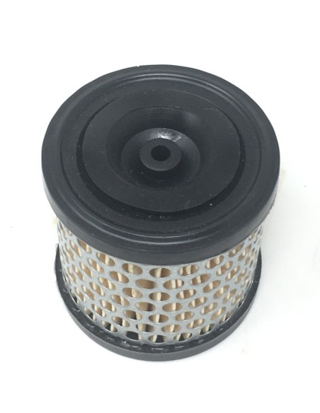 Filtro de aire adaptable a motores Briggs & Stratton --- Tu tienda de repuestos