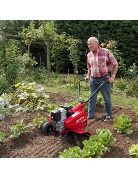 Motoazada Honda F 220