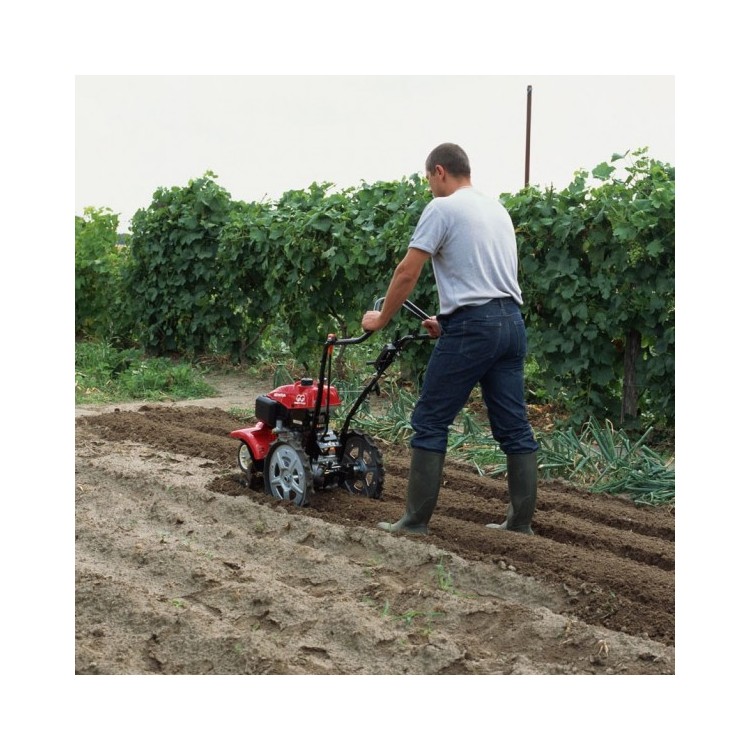 Motoazada Honda FF300