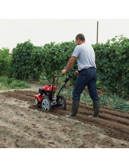 Motoazada Honda FF300