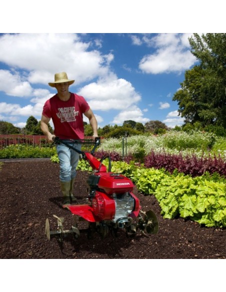 Motoazada Honda F 506