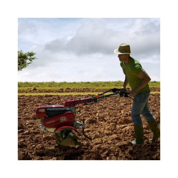 Motoazada Honda F 560