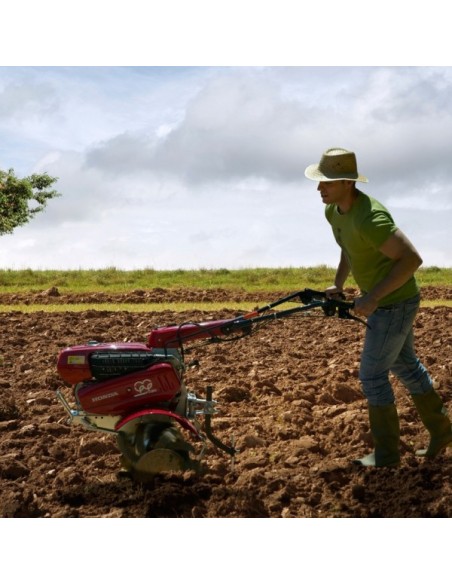 Motoazada Honda F 560