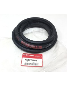 Correa HF23 HONDA DOBLE V Belt