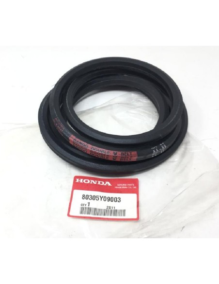 Correa HF23 HONDA DOBLE V Belt