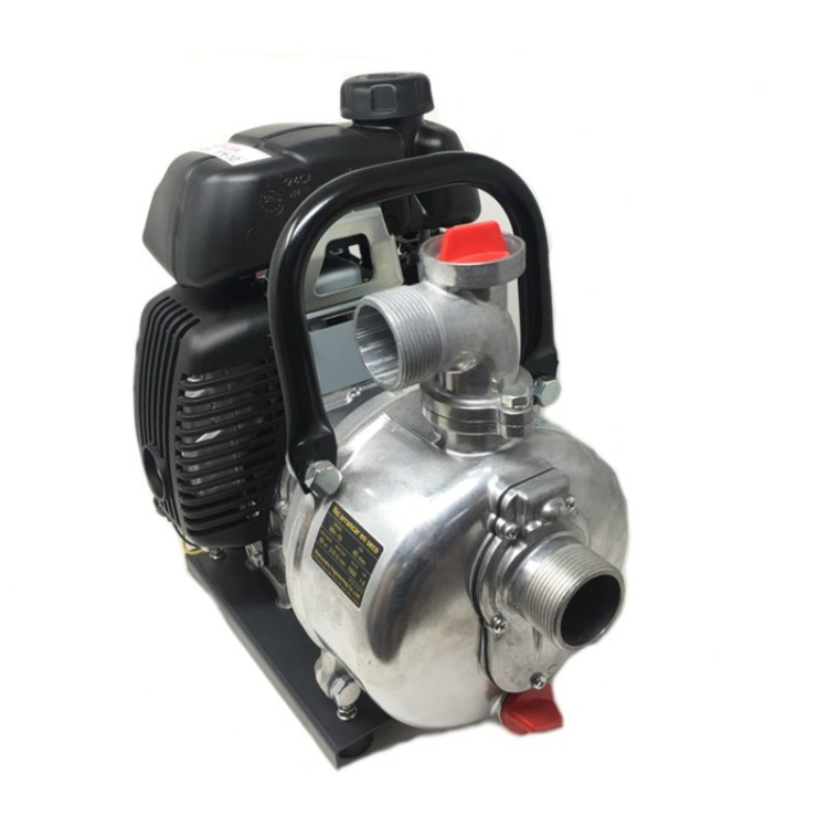 Motobomba Honda WH 10 X - Bomba de agua de presión.