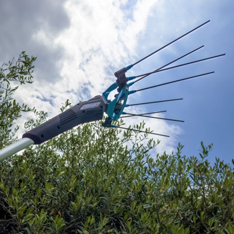 Vareador Campagnola Master -- Hazte con tu vareador Aqui!