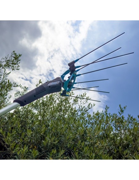 Vareador Campagnola Master -- Hazte con tu vareador Aqui!