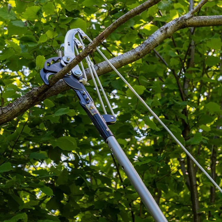 Ejemplo de corte Arborapid Berger