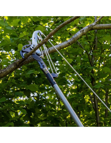 Ejemplo de corte Arborapid Berger