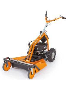 Desbrozadora AS Motor AS 63