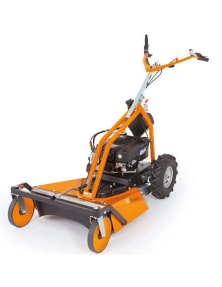 Desbrozadora AS Motor AS 63