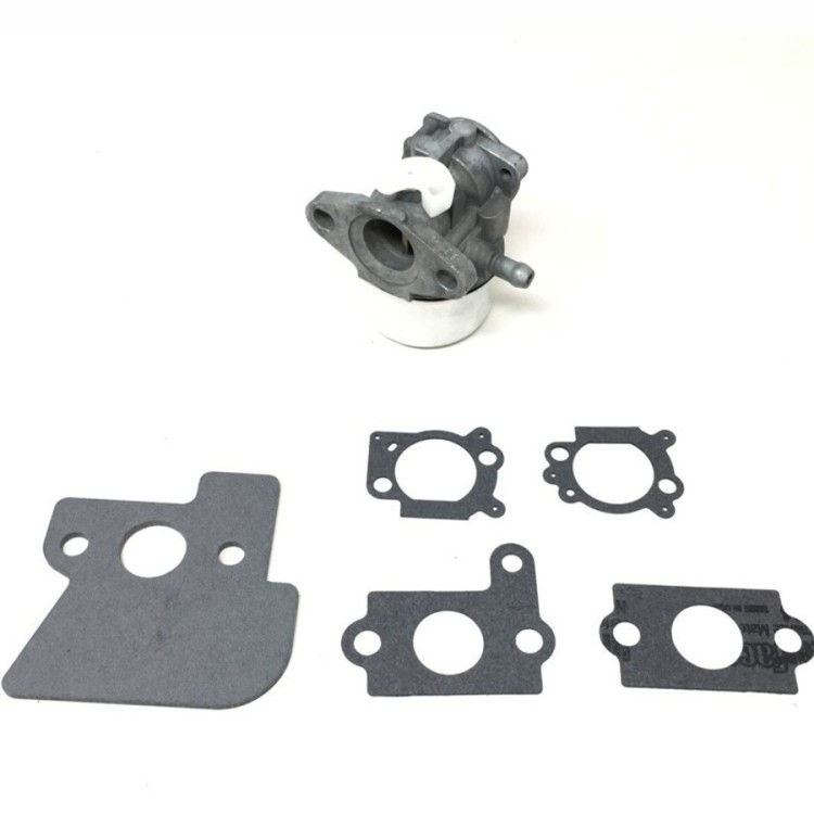 Carburador Brigg&Stratton 790120