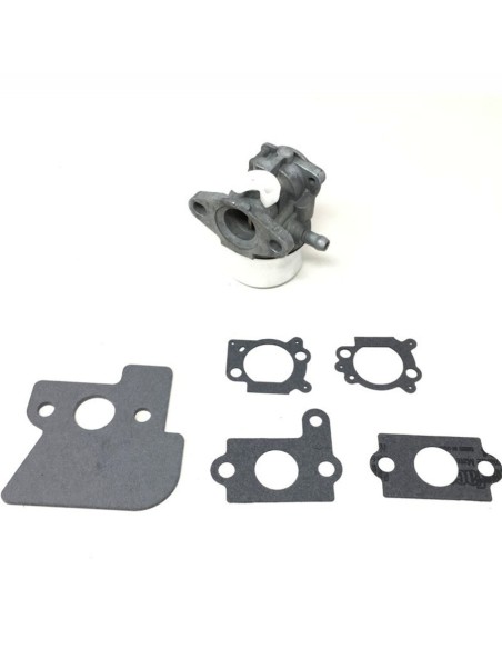 Carburador Brigg&Stratton 790120