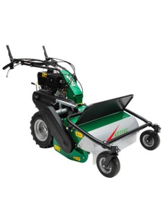 Desbrozadora Active AC 642 PRO