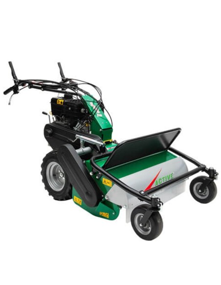 Desbrozadora Active AC 642 PRO