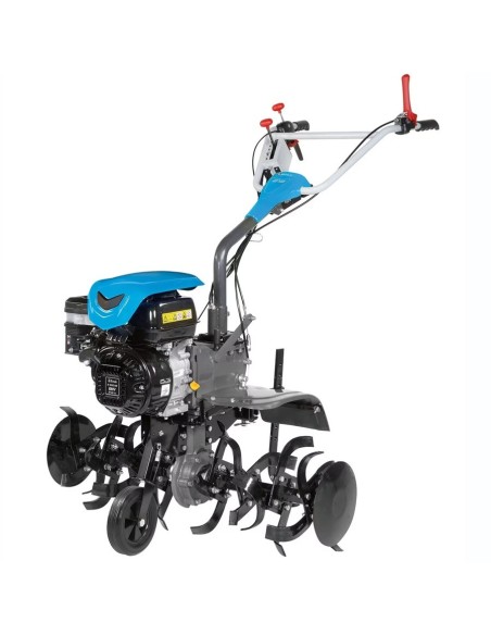 Motoazada Bertolini 218