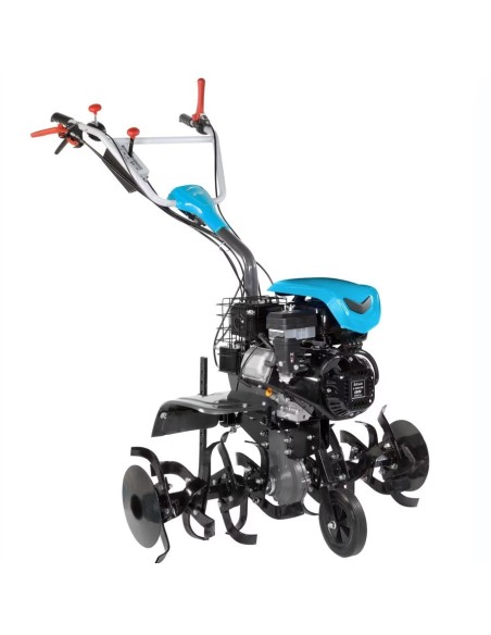 Motoazada Bertolini 218