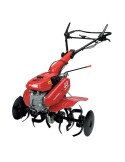 Motoazada Honda F560
