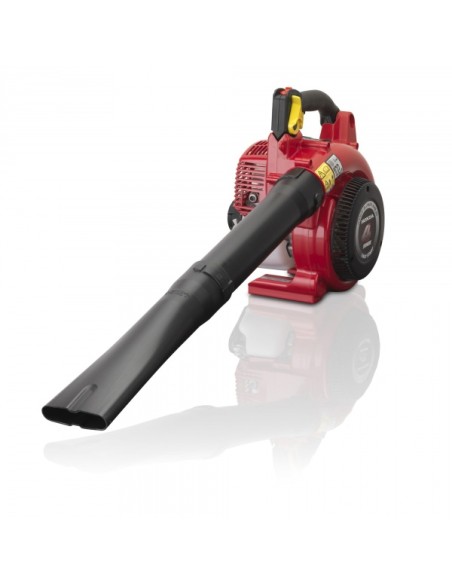 Soplador Honda HHB 25