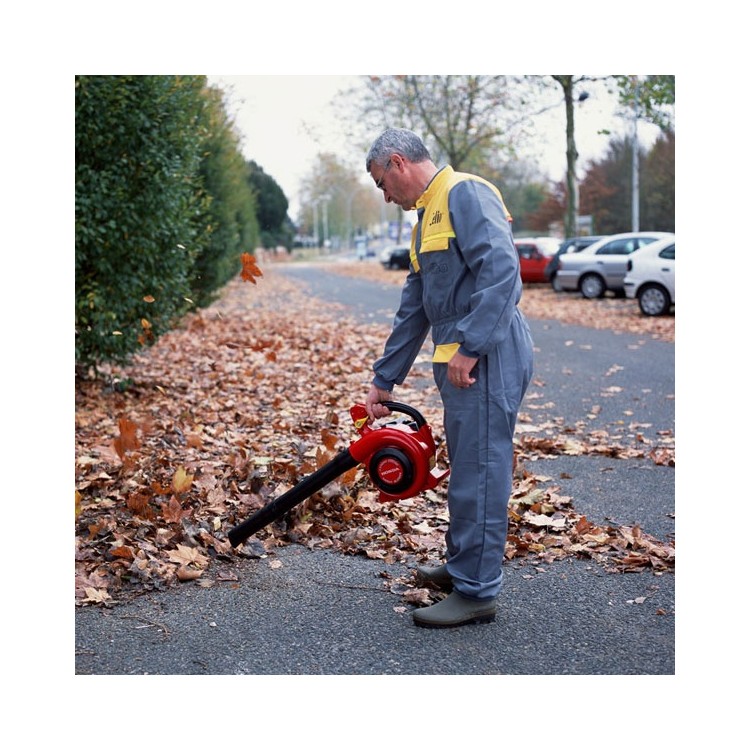 Soplador Honda HHB 25