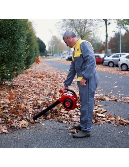 Soplador Honda HHB 25