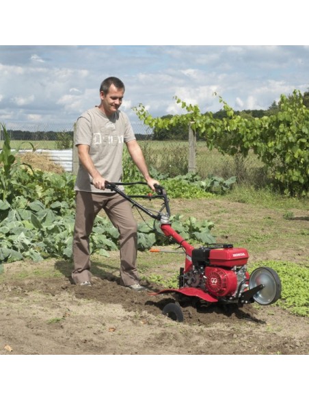 Motoazada Honda F 501