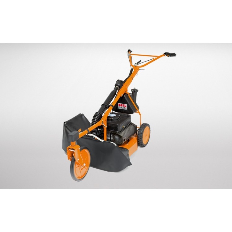 Desbrozadora AS Motor AS 21