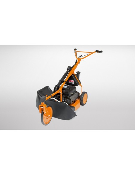 Desbrozadora AS Motor AS 21