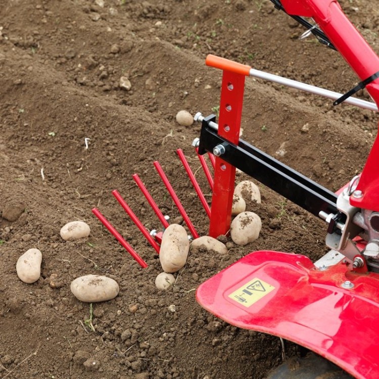 Arranca patatas numero 1